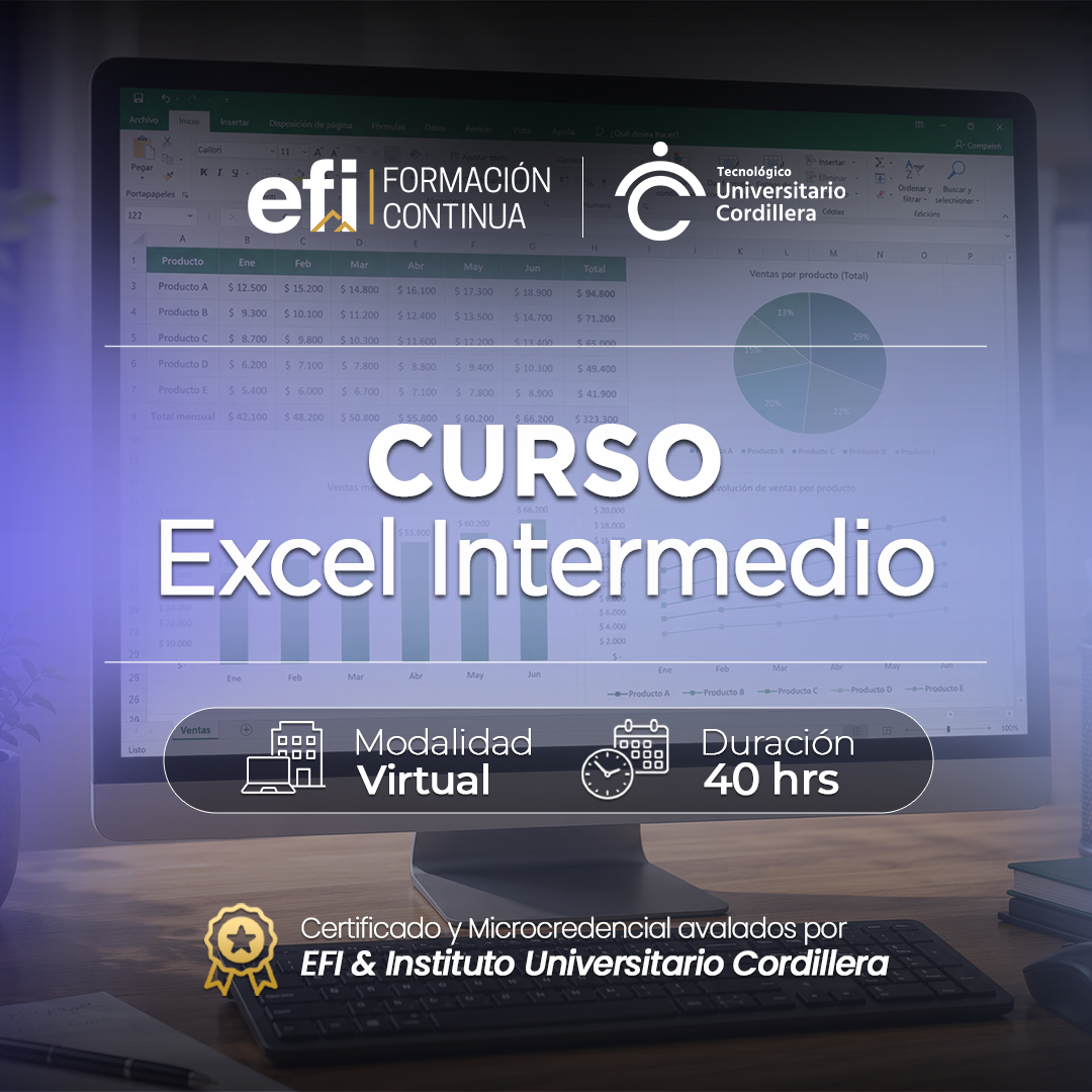 Excel Intermedio